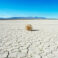 Tumbleweed in desert on dry earth